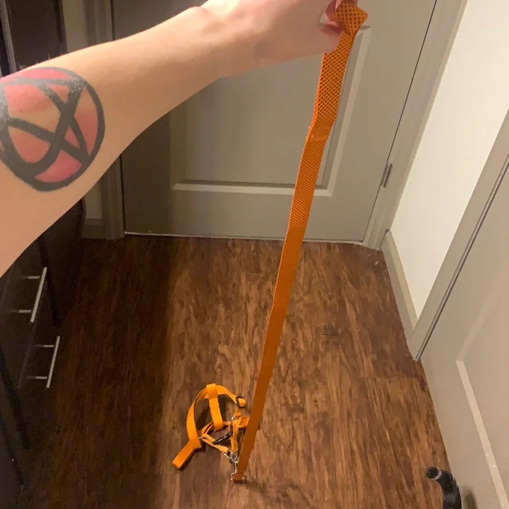 Halo Step-In Dog Harness and Leash Set